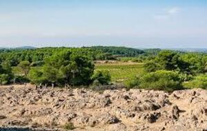 RANDO SANTE : Claude  : Casteneau de Guers :   L'étendoir des fées   7.5 KM dénivelé 80 ML à 30 KM, 4.5 € de Covoiturage, départ 13H45 De la Base Nautique . envoi d'un SMS au  06 51 73 81 65  la veille