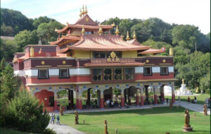 RANDO JACKY: ROQUEREDONDE_Dans la forêt de l' Eescandorgue_14 km-D+ 375_IBP 53 à 70 km de Balaruc_covoiturage 10 e-départ 8h30 de Balaruc_envoi sms la veille avant 20h au 06 14 41 59 59