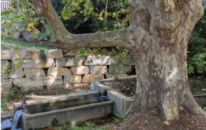 RANDO 1/2 JOURNEE-JACKY_POPIAN_Circuit des fontaines et des lavoirs_11,5 km_D+160_IBP 34_à 40 km de Balaruc_Covoiturage 5,50 e-Départ 13h de Balaruc-Envoi sms la veille avant 20h au 06 14 41 59 59