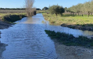 Jeudi 12 mars - Randonnée Pinet « La Coulette, la Castillonne » 13 km 90 m D+