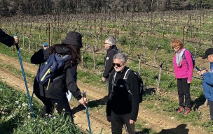 Jeudi 12 mars - Randonnée Pinet « La Coulette, la Castillonne » 13 km 90 m D+