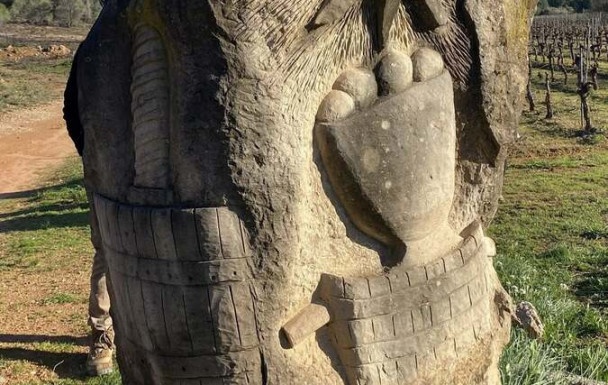 Jeudi 12 mars - Randonnée Pinet « La Coulette, la Castillonne » 13 km 90 m D+